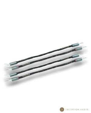 Esprit Audio Eterna G10 straps enceintes