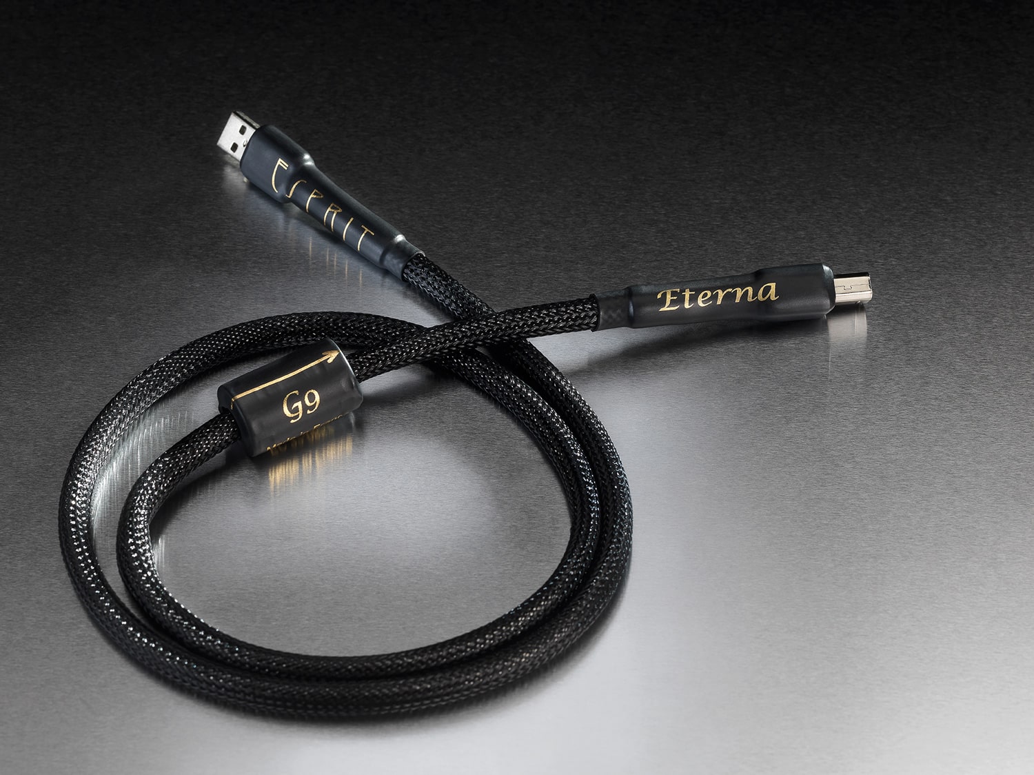 câble audio digital numérique hifi Esprit Eterna USB