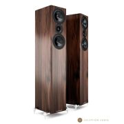 Enceintes colonnes hifi Acoustic Energy AE509 noyer