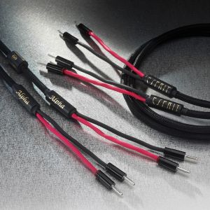 câbles enceintes haut parleurs HP audio hifi Esprit Alpha banane