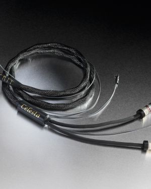 Esprit Celesta câble modulation phono