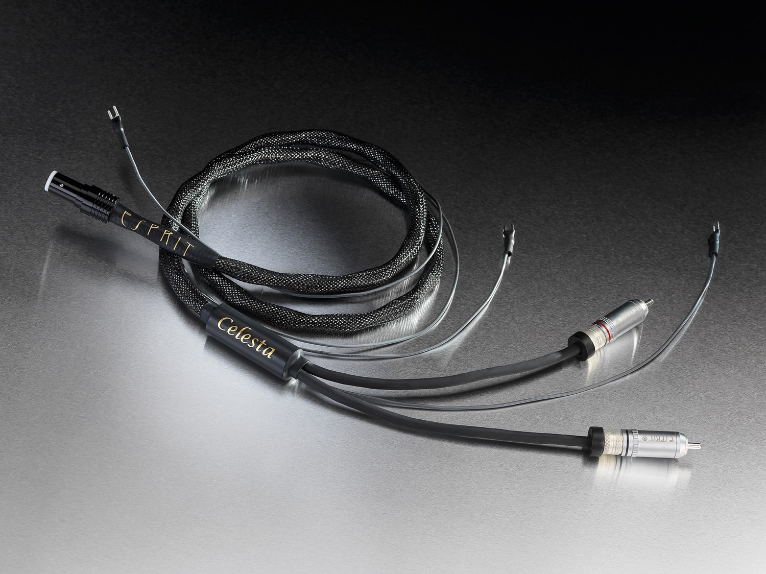câble audio hifi audio Esprit Celesta modulation phono vinyle