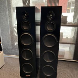 Magico A5 bonnes affaires hifi