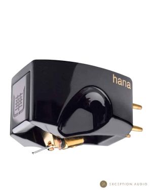 Hana Umami Black