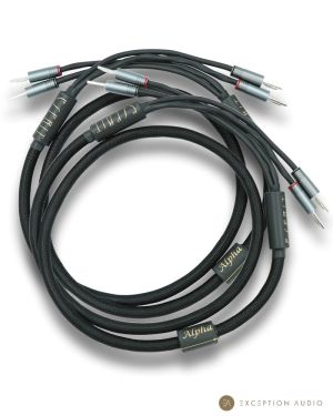 Esprit Audio Alpha G10 câbles enceintes