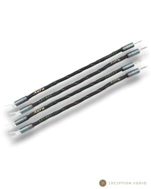 Esprit Audio Aura G10 straps enceintes