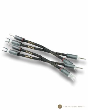 Esprit Audio Beta G10 straps enceintes