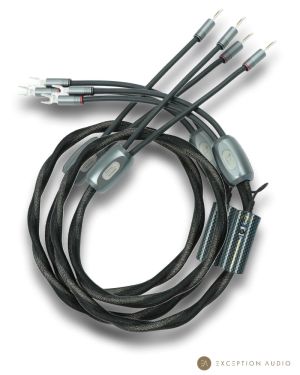 Esprit Audio Eterna G10 câbles enceintes