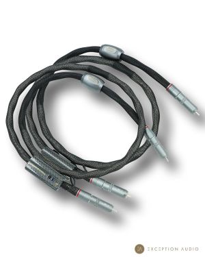 Esprit Audio Eterna G10 câble modulation RCA