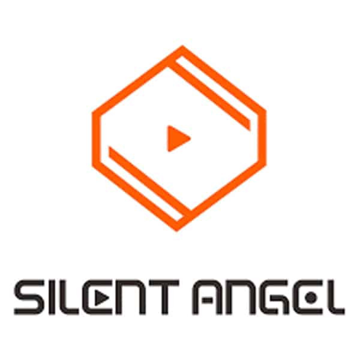 Logo Silent Angel Audio Hi-Fi Switch Audiophile