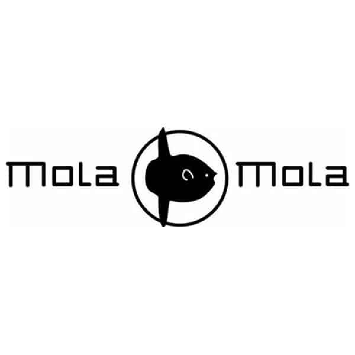 Mola Mola Audio DAC amplificateurs ncore bruno putzeys