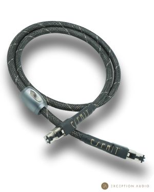 Esprit Audio Celesta G10 câble RJ45