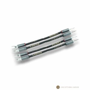 Esprit Audio Celesta G10 génération X straps jumpers enceintes