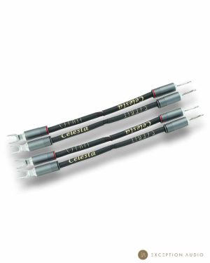 Esprit Audio Celesta G10 straps enceintes
