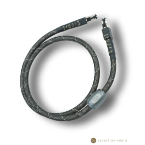 Esprit Audio Eterna G10 génération X câble ethernet RJ45 hifi
