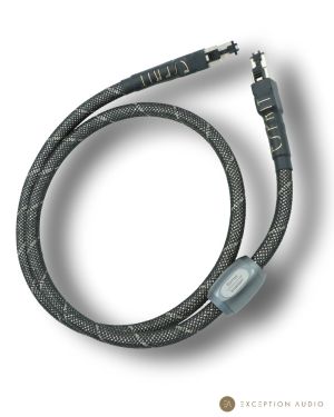 Esprit Audio Eterna G10 câble RJ45