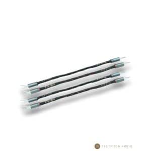 Esprit Audio Eterna G10 génération X straps jumpers enceintes hifi
