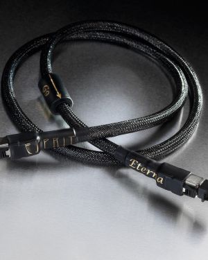 Esprit Eterna câble RJ 45
