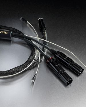 Esprit Eterna câble modulation phono
