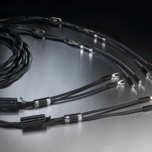 câbles enceintes haut parleurs HP audio hifi Esprit Eterna