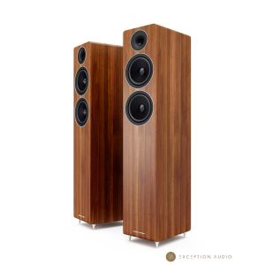 Enceintes colonnes hifi Acoustic Energy AE309 Noyer