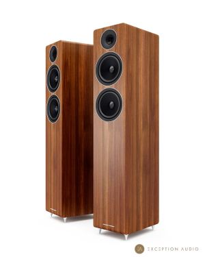 Acoustic Energy AE309