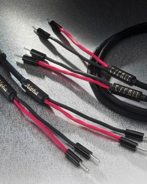 Esprit Alpha câbles enceintes