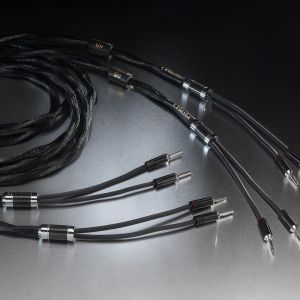 câbles enceintes haut parleur hifi audio audiophile Esprit Celesta