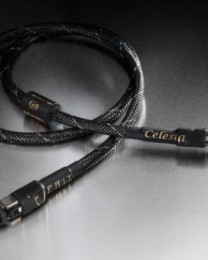 Esprit Celesta câble RJ 45