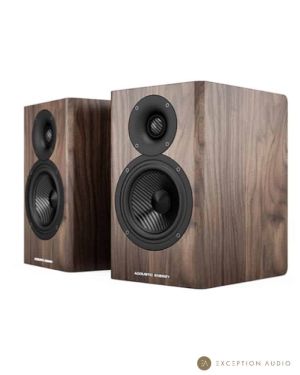 Acoustic Energy AE500