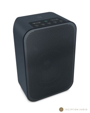 Bluesound Pulse Flex 2i