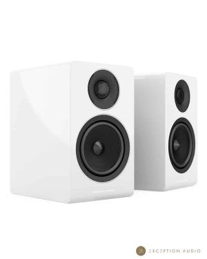 Acoustic Energy AE300