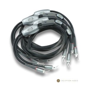 Esprit Audio Lumina G10 génération X câble enceinte haut parleur hifi haute fidélité