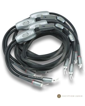 Esprit Audio Lumina G10 câbles enceintes