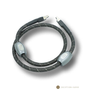 Esprit Audio Lumina G10 génération X câble ethernet RJ45