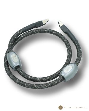 Esprit Audio Lumina G10 câble RJ45