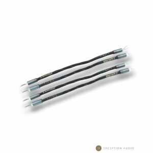 Esprit Audio Lumina G10 génération X straps jumpers enceintes hifi