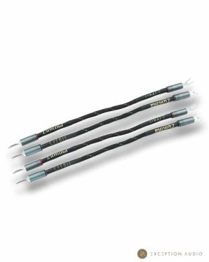 Esprit Audio Lumina G10 straps enceintes