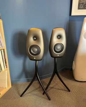 Vivid Audio Kaya S12 + Pieds (démo)
