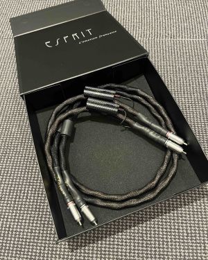 Câble modulation RCA Esprit Eterna G9 1.2M