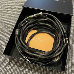câble HP enceintes esprit audio Eterna G9 HiFi Haut de gamme