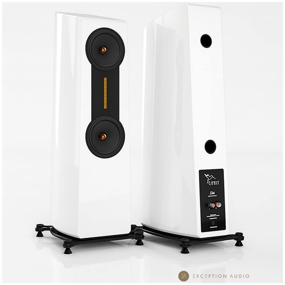 Esprit Audio Lisa enceinte hifi haut de gamme