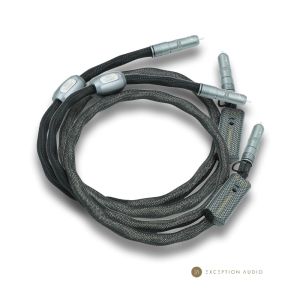 Esprit Audio Aura G10 câble modulation RCA génération X hifi haute fidélité