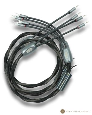 Esprit Audio Aura G10 câbles enceintes