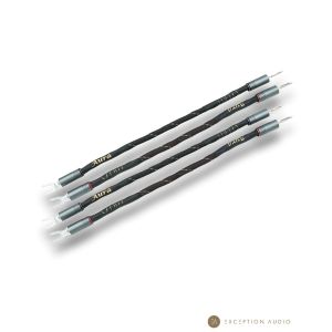 Esprit Audio Aura G10 straps jumpers enceintes hifi