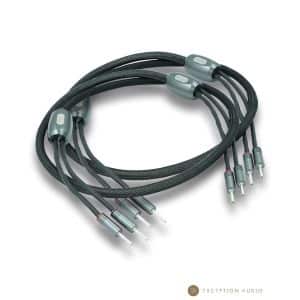 Esprit Audio Beta G10 câbles HP enceintes hifi haute fidélité
