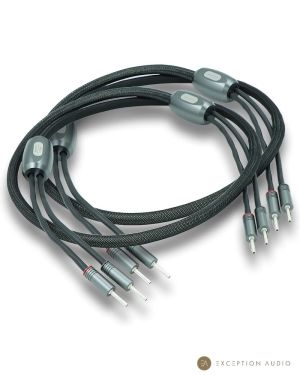 Esprit Audio Beta G10 câbles enceintes