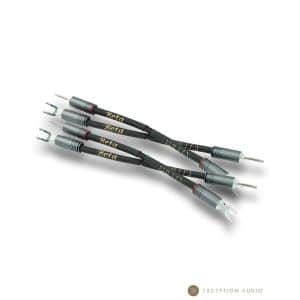 Esprit Audio Beta G10 straps jumpers enceintes hifi
