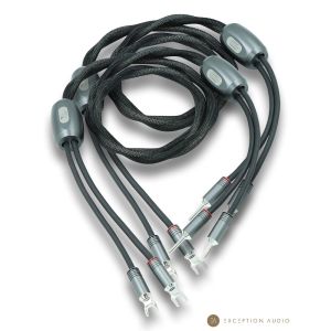 Esprit Audio Celesta G10 câbles haut-parleurs enceintes hifi haute fidélité Génération X