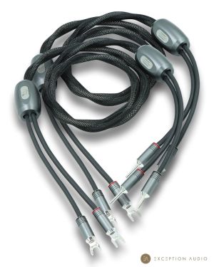 Esprit Audio Celesta G10 câbles enceintes